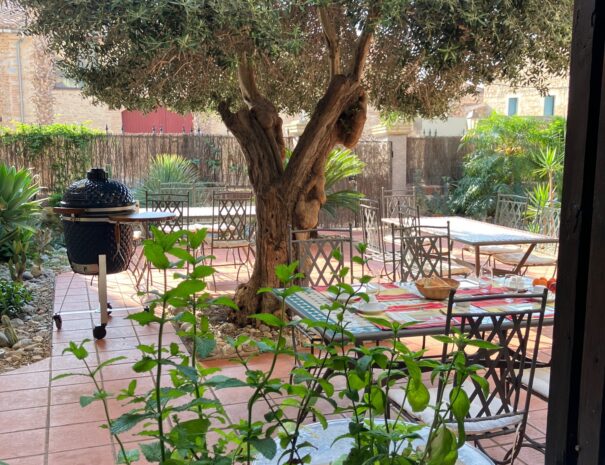 jardin -petit dej